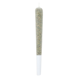 Lamplighter - Tiger Berry Infused Pre-Roll - Blend - 3x0.5g