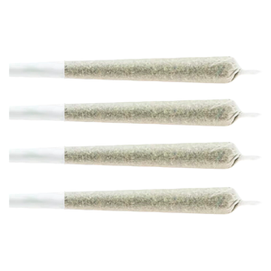 CHUB'S - Snack Pack - Sativa Pre-Roll - 4x0.5g